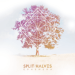 Split / Halves: Ephemera