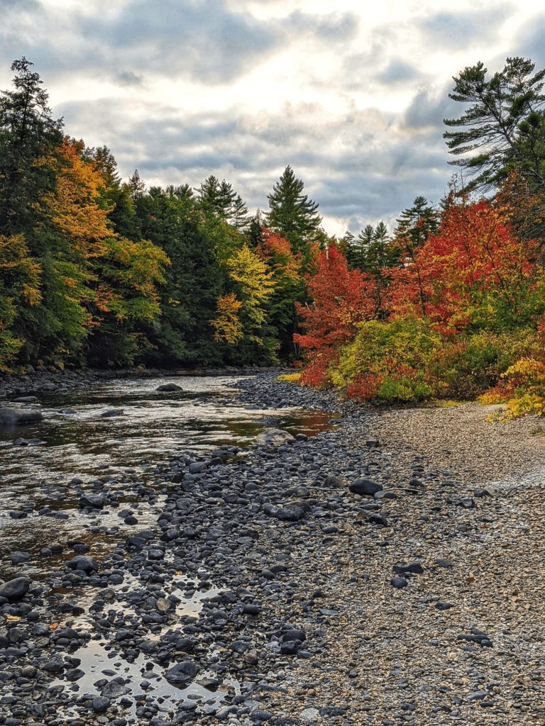 Local Maine riverbed in fall, orange and yellowing leaves extend rounded gray stone. Subtle sounds of the river are almost visible in the photos
