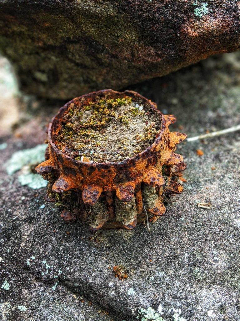 Remnants of an old gear or cog of some sort, most likely off some farm equipment of late. The macro shot includes so many geometric lines and angles, all covered in rich orange rust. The piece is compacted filled with earth to which moss and vegitation have begun to grow. Life has found its way here, and this antiquity becomes a beautiful decaying terrarium